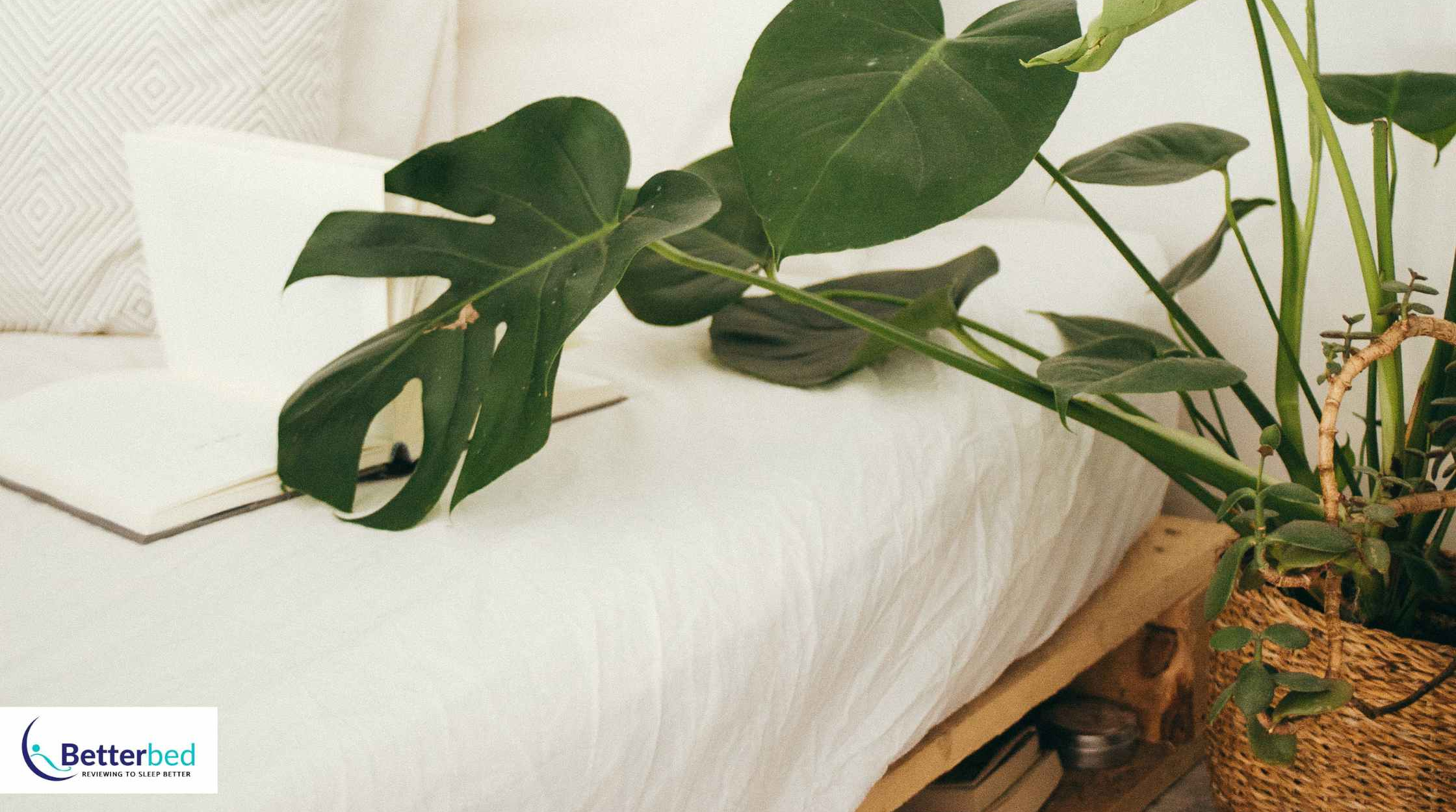 The Best Pocket Spring Mattress for Australian Sleepers