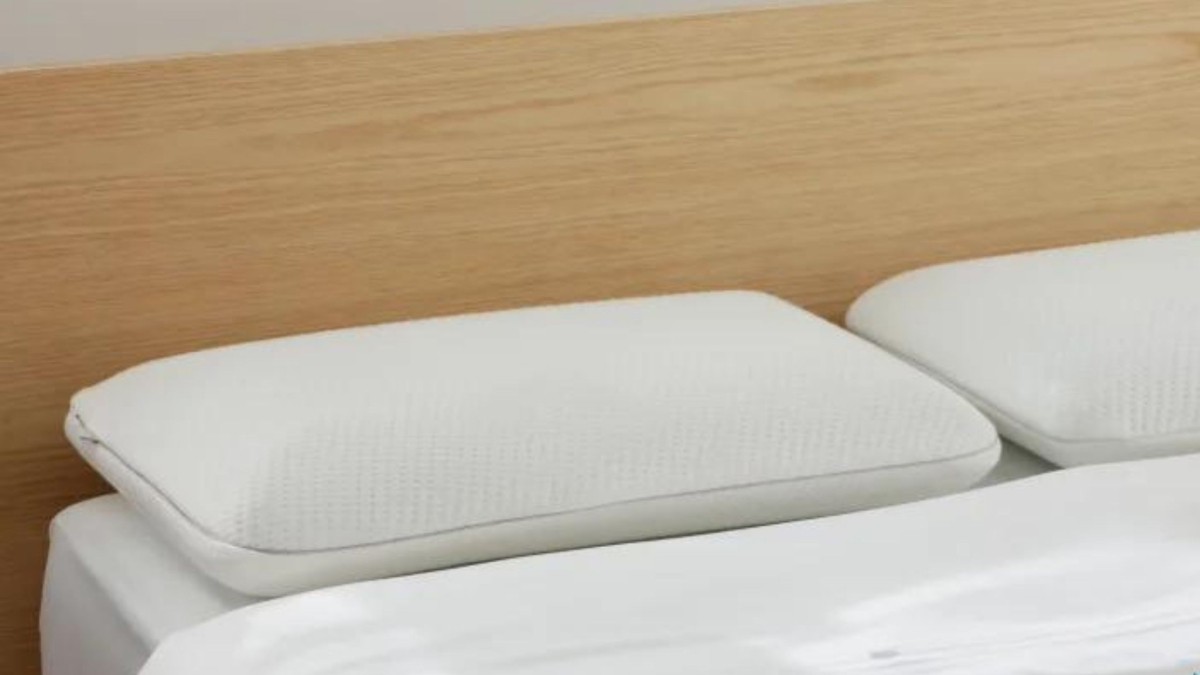 Koala Pillow Review A Cosy Way to Rest your Head