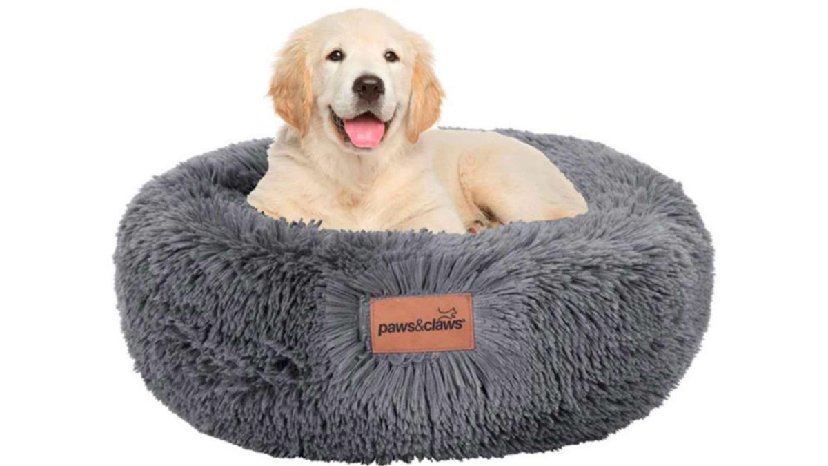 7 Best Dog Beds In Australia (Reviews & Buying Guide)