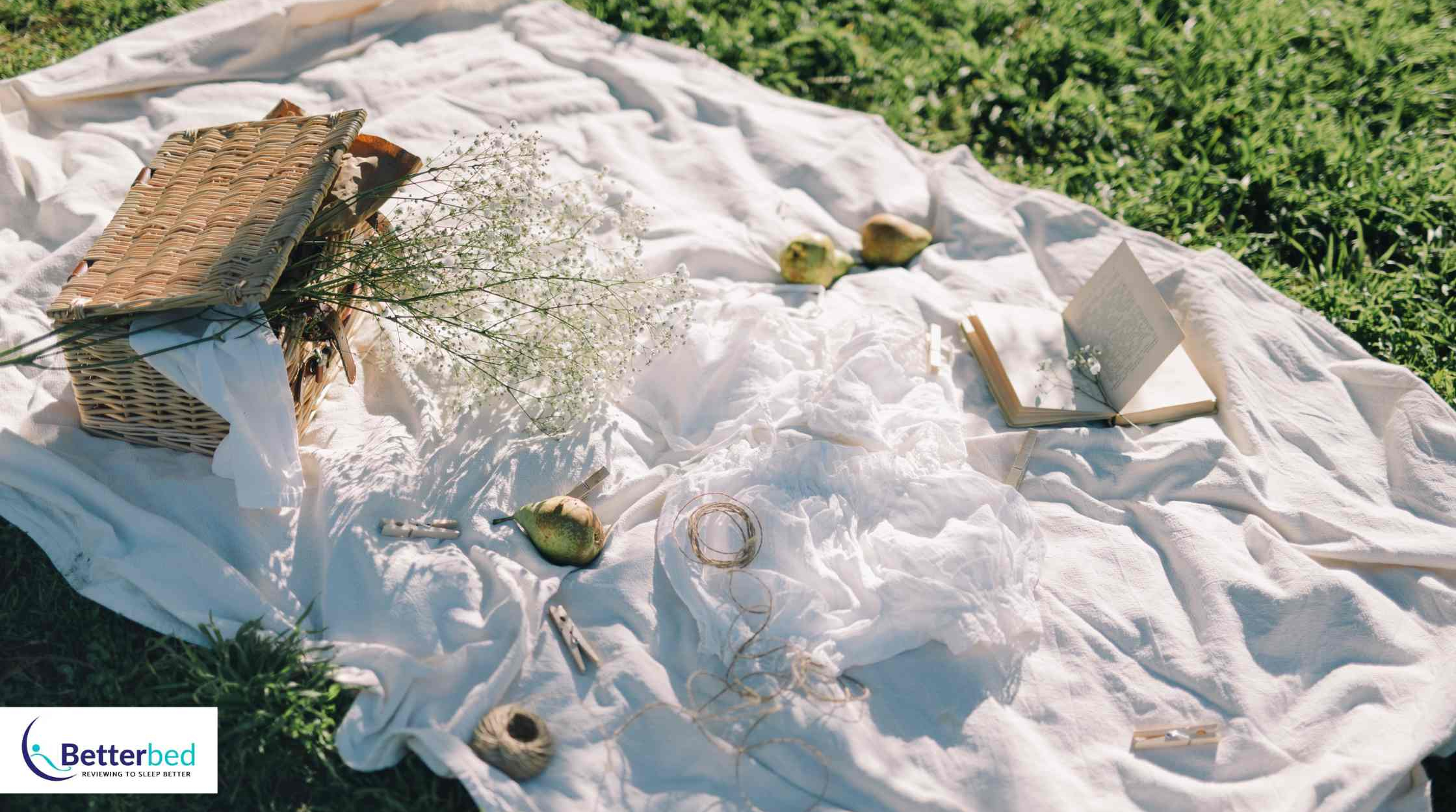 BR BB Image Logo (10)