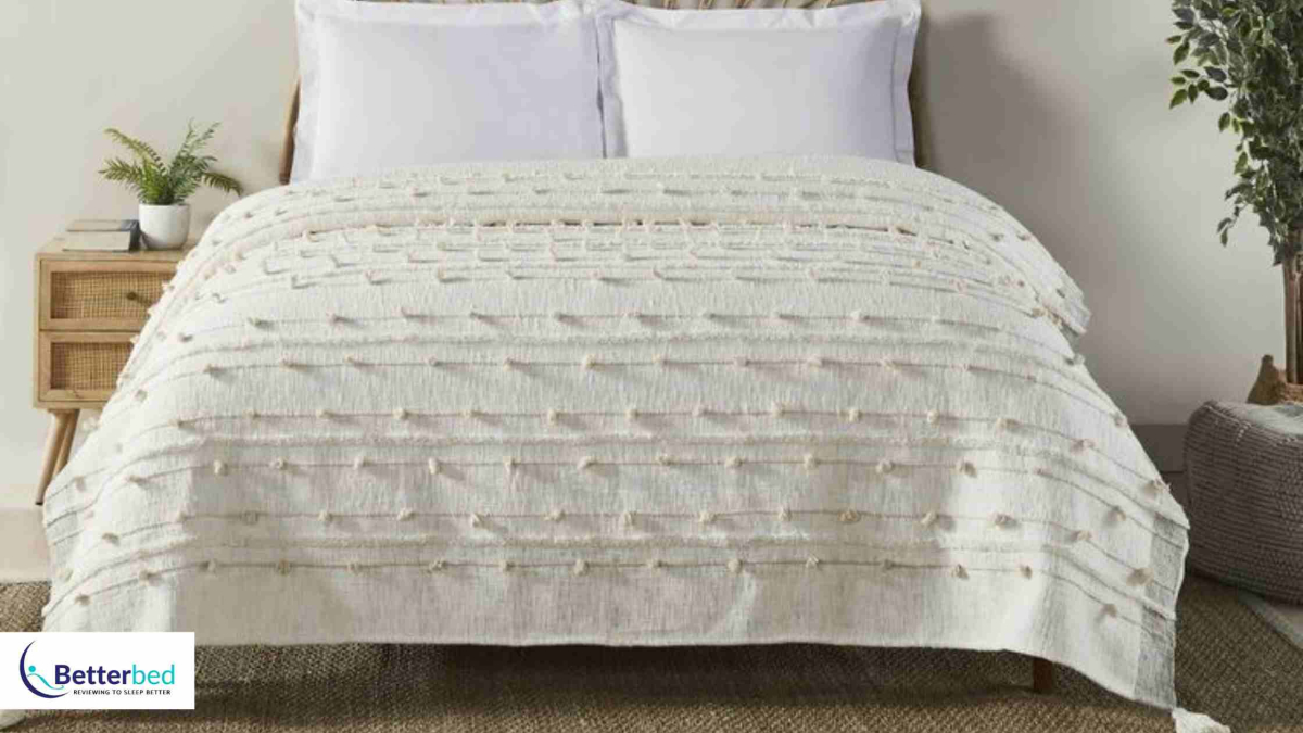 Best Spotlight Blankets in 2022