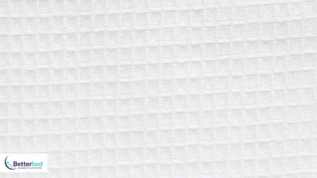 Best Spotlight Blankets in 2022