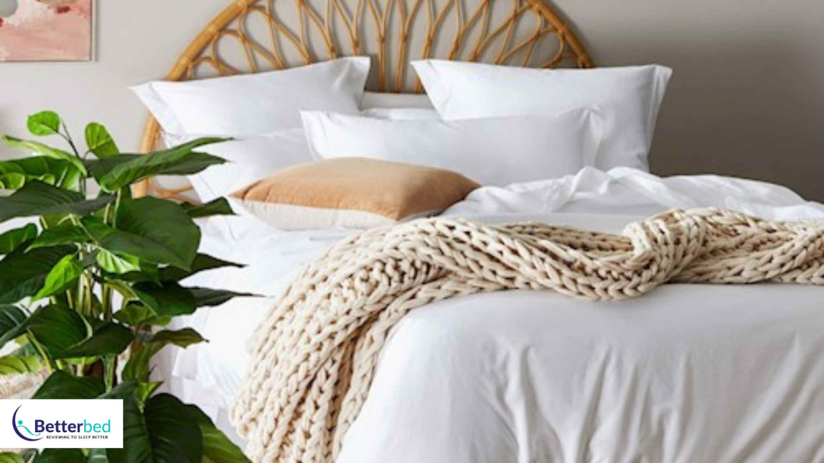 Best Throw Blankets in 2023 Betterbed