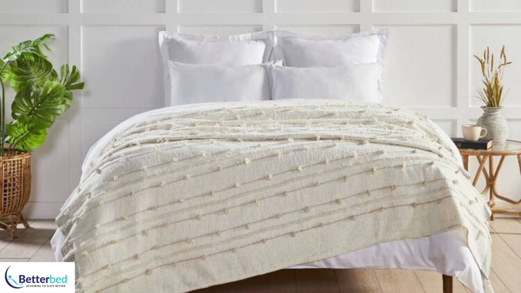 Best Spotlight Blankets in 2022