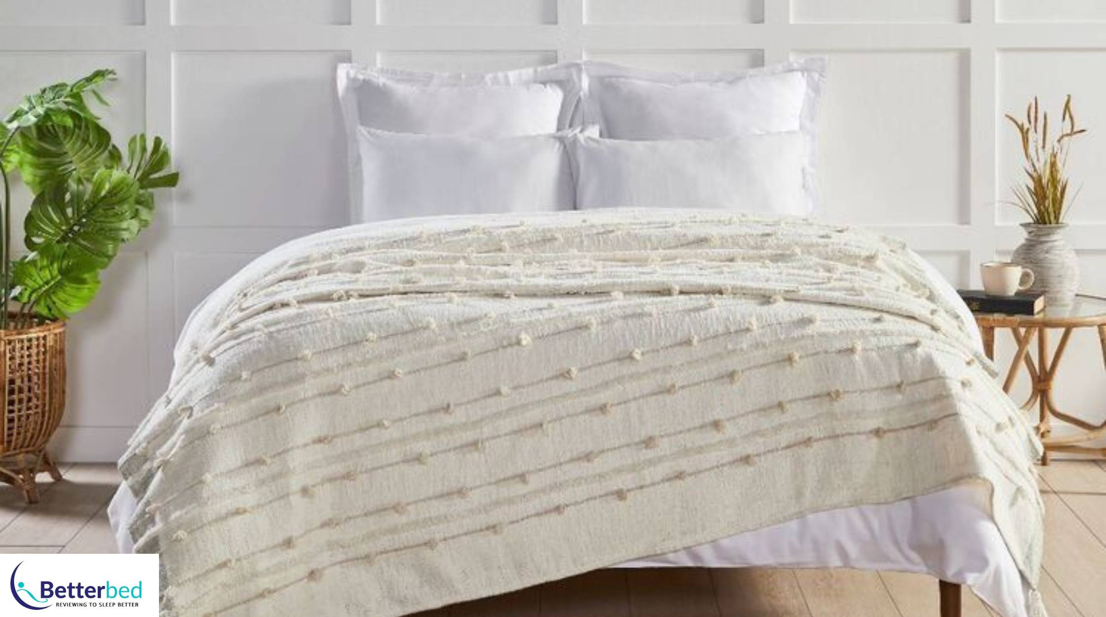 Best Spotlight Blankets in 2022