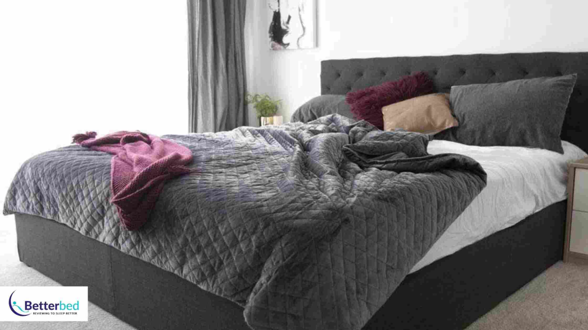 Best Neptune Blankets in 2022