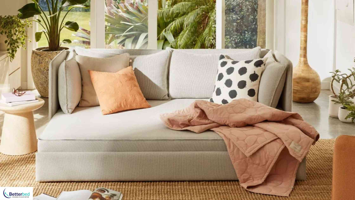 Koala Sofa Bed Review 2023 Transform Your Living Space