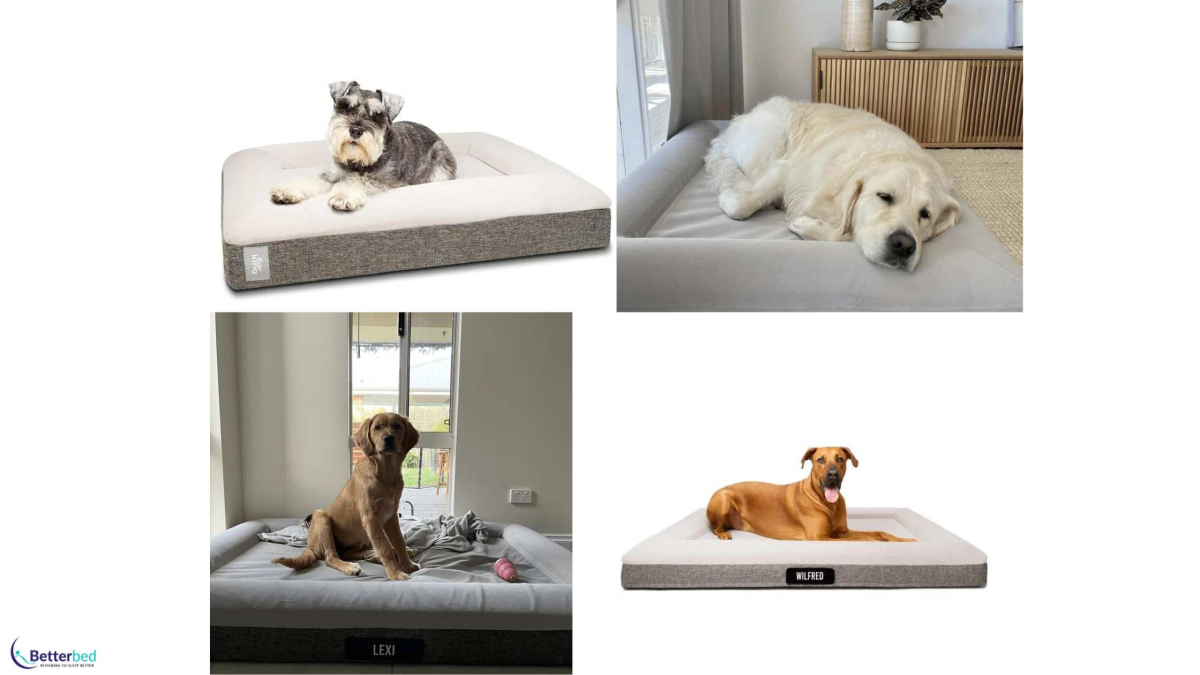 Best Dog Beds Australia Pet Parlour