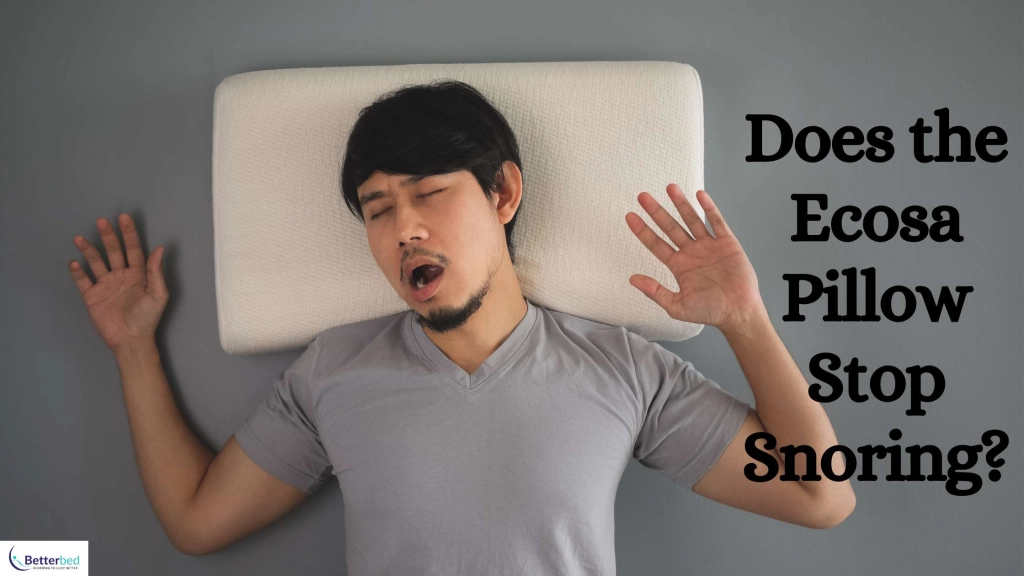 Stop Snoring with This Pillow Ecosa Pillow